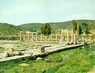 The Temple of Artemis