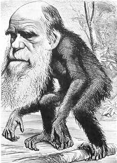 Darwin Caricature